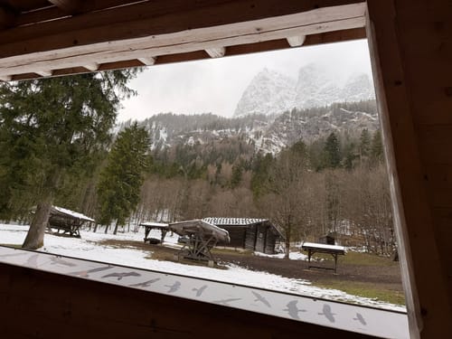 Wildfütterung