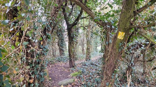 Internationaler Kunstwanderweg Hoher Fläming