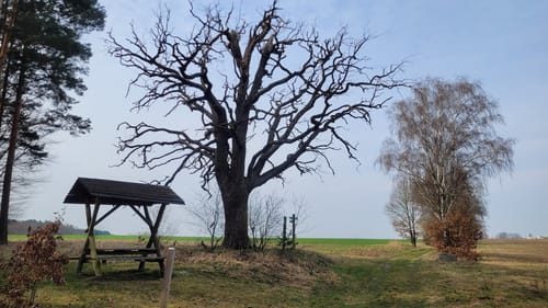 Internationaler Kunstwanderweg Hoher Fläming