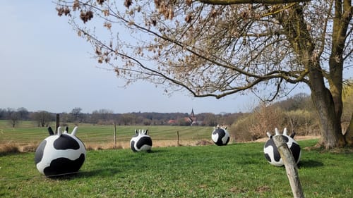 Internationaler Kunstwanderweg Hoher Fläming
