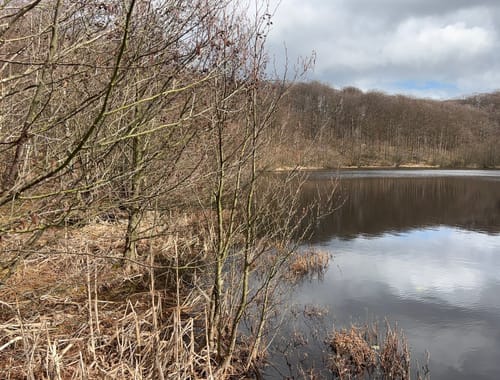 Schwarzer See Rundweg 