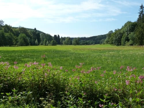 Sintfeld-Höhenweg Etappe 6: Bad Wünnenberg - Harth