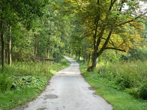 Sintfeld-Höhenweg Etappe 6: Bad Wünnenberg - Harth