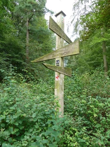 Sintfeld-Höhenweg Etappe 6: Bad Wünnenberg - Harth