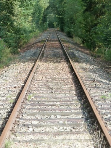 Sintfeld-Höhenweg Etappe 6: Bad Wünnenberg - Harth