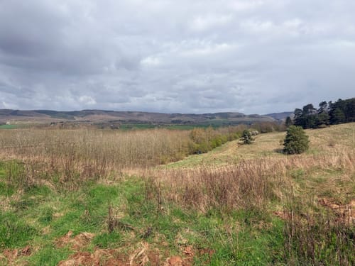 Wittlich: Durch den Mundwald