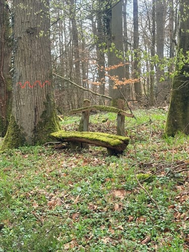 Wittlich: Durch den Mundwald