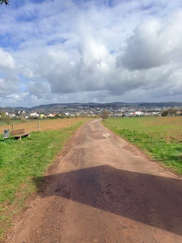 Wittlich: Durch den Mundwald