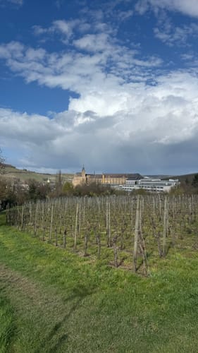Ahrsteig