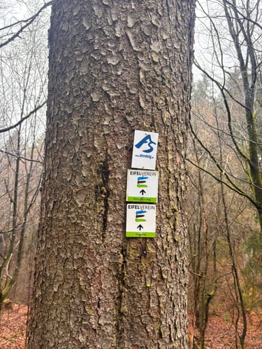 Ahrsteig