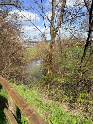 Von Wittlich zum Mundwald