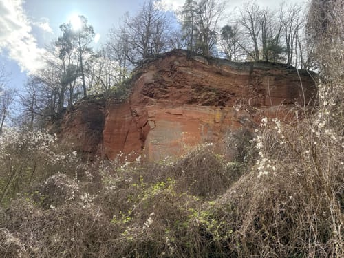 Von Wittlich zum Mundwald