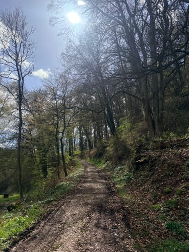 Von Wittlich zum Mundwald
