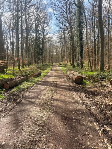 Von Wittlich zum Mundwald