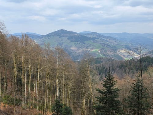 Zell im Wiesental - Hohe Möhr-Turm - Atzenbacher Wasserfall