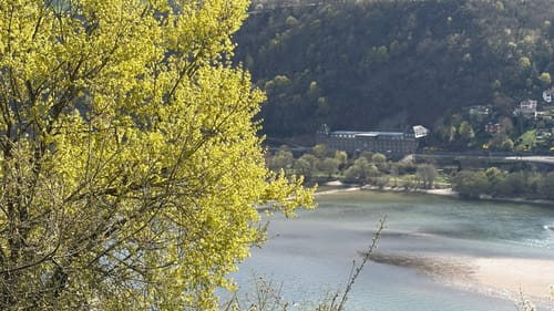 Rhein-Wisper-Glück (Premiumwanderweg)