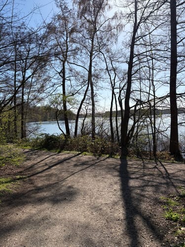 Sechs-Seen-Platte: Rund um den Wolfssee