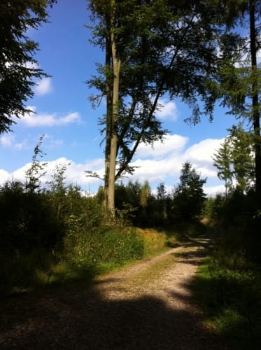 Bismarckturm und Deuringer Heide