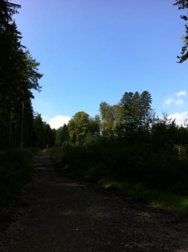 Bismarckturm und Deuringer Heide