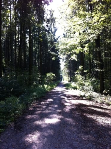 Bismarckturm und Deuringer Heide