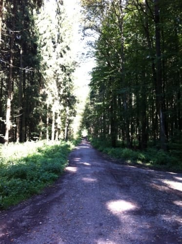 Bismarckturm und Deuringer Heide
