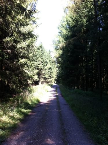 Bismarckturm und Deuringer Heide
