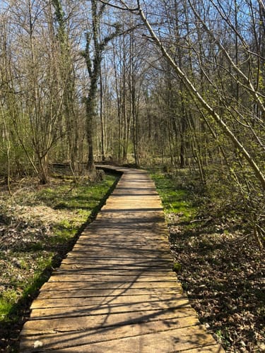 Luherheide: Försterteische - Staffpark