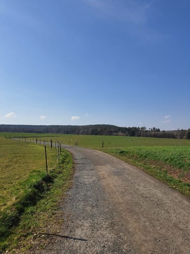 Mistelbach Rundwanderweg: Durch die Mistelauen