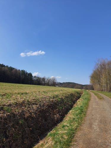 Mistelbach Rundwanderweg: Durch die Mistelauen