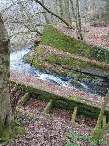 Bellinghausen - Eifgenbach