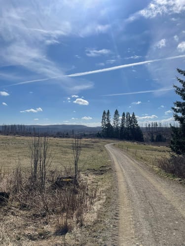 Wanderung bei Braunlage