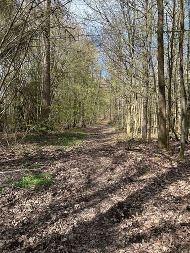 Lahn-Facette Küppeltour (Premiumwanderweg)
