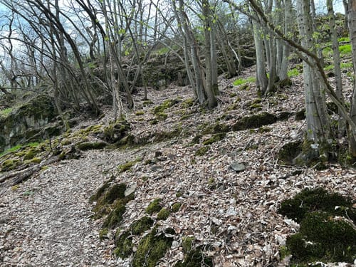 Lahn-Facette Küppeltour (Premiumwanderweg)