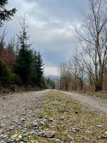 Rundweg Sternmühle