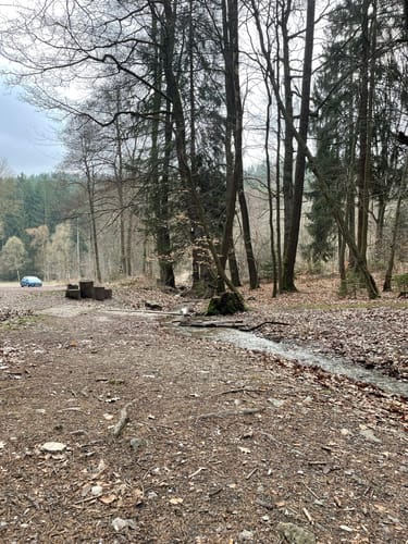 Rundweg Sternmühle