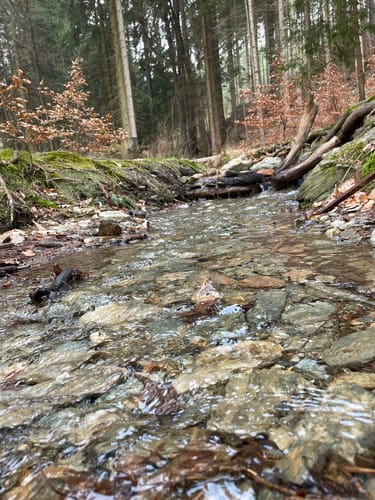 Rundweg Sternmühle