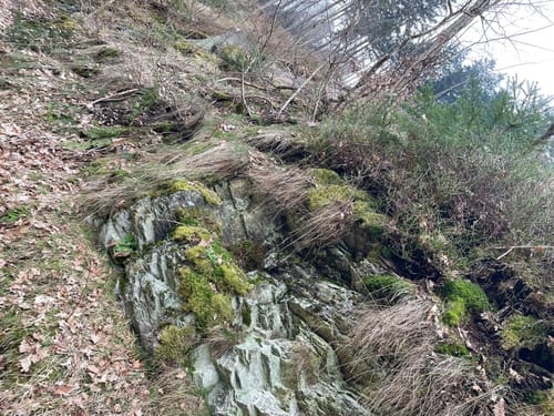 Rundweg Sternmühle