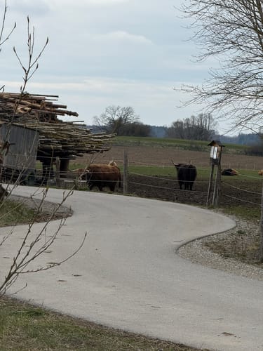 MTB: Von Germering durch den Bernrieder Wald
