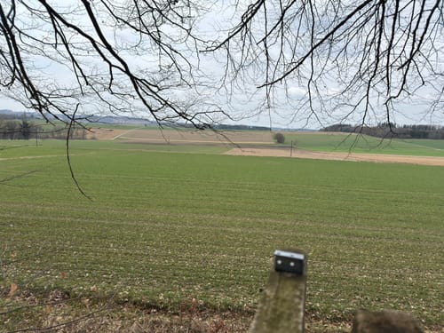 MTB: Von Germering durch den Bernrieder Wald