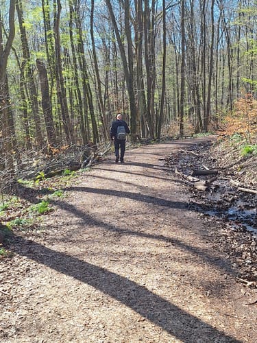 Urwald Tour (Premiumwanderweg)