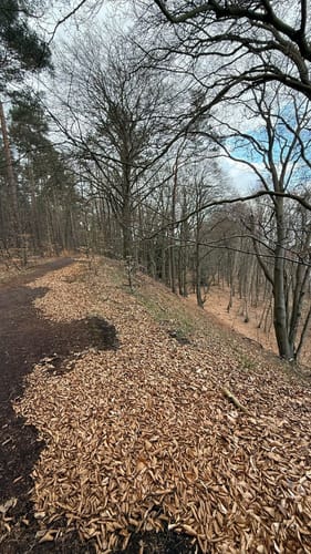 Am Küchensee bei Groß Zecher