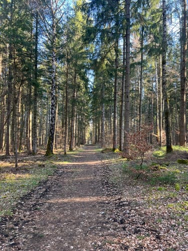 Große Donautraufrunde