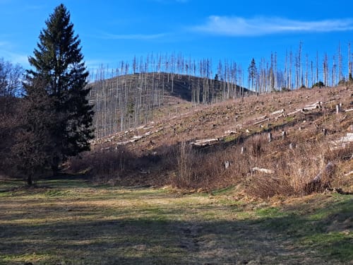 Mollenberg-Tour (B5)