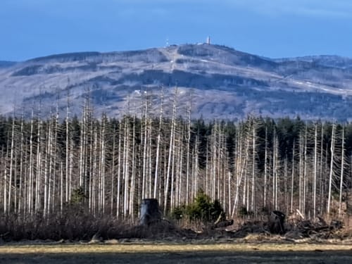 Mollenberg-Tour (B5)
