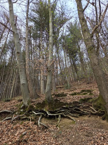 Bergerhof Rundweg