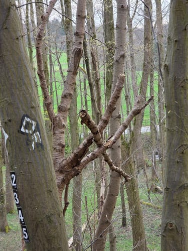 Bergerhof Rundweg