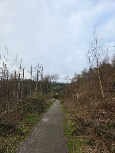 Bergerhof Rundweg