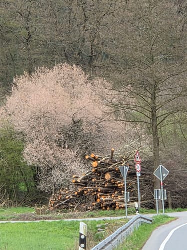 Bergerhof Rundweg