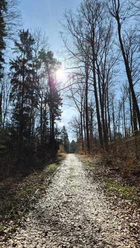 Hohrainhof Rundweg