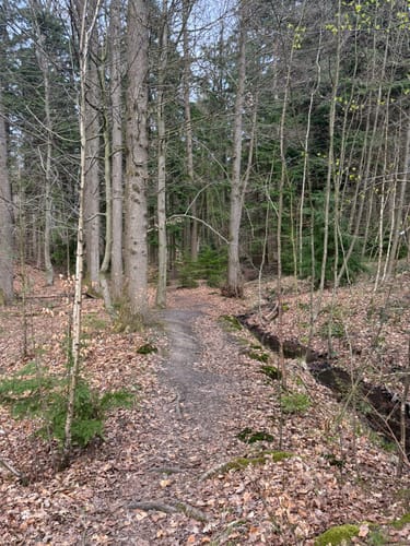 Meller Berge: Diedrichsburg und Ottoshöhe